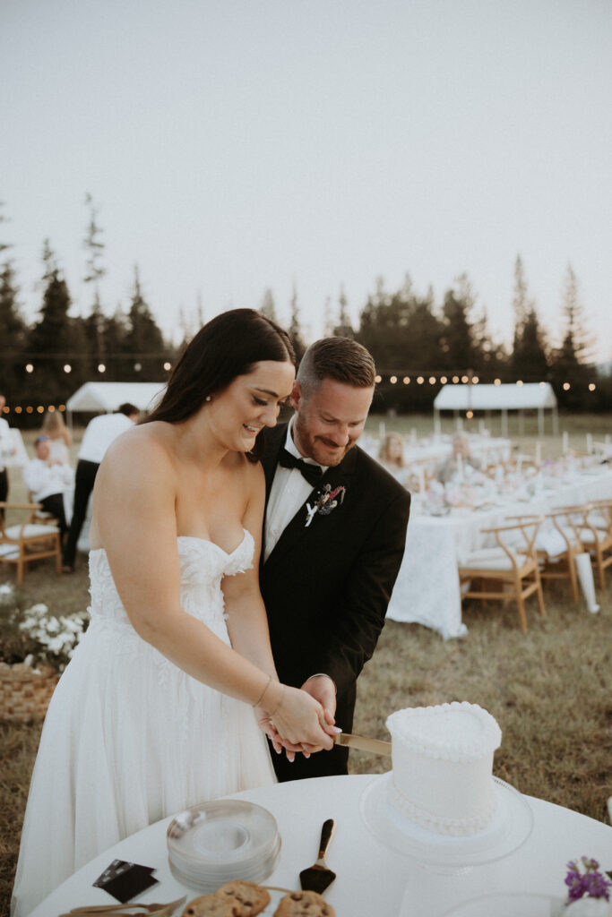 newly married couple cutting their wedding cake