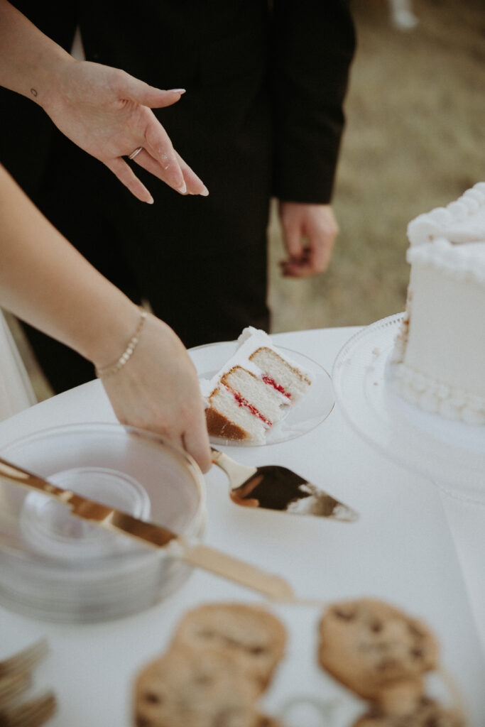happy couple at their dream reception party