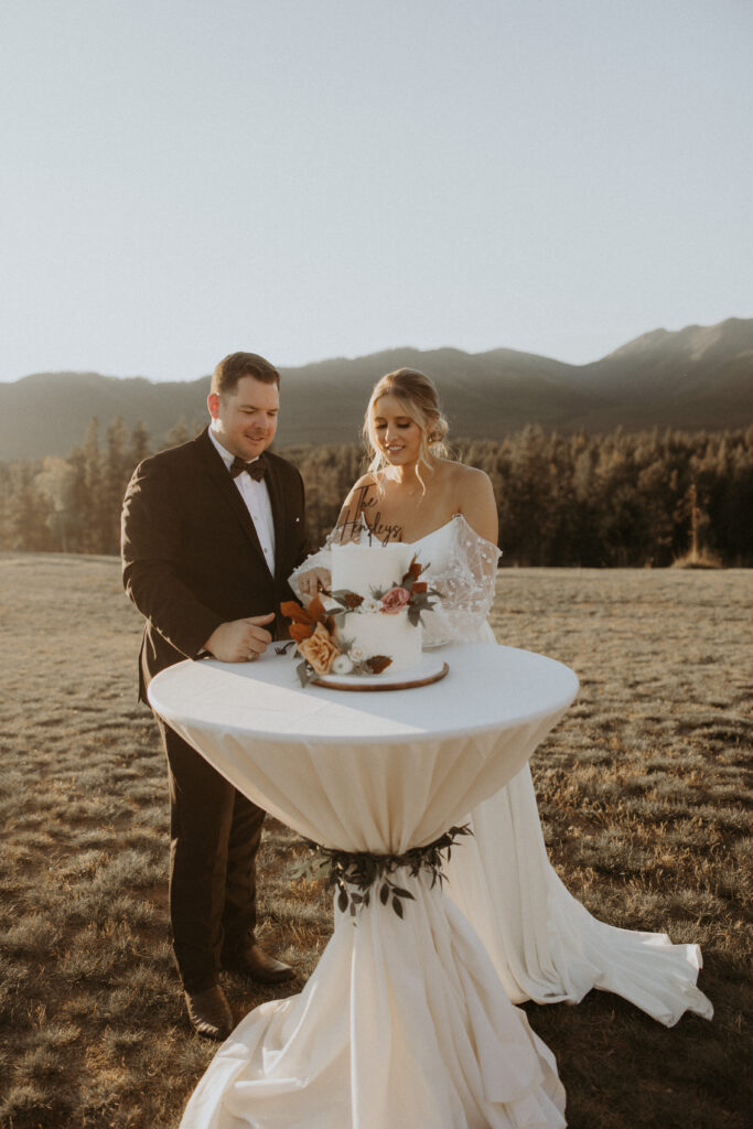 Newly married couple cutting their wedding cake