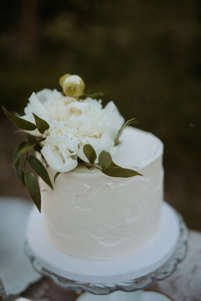 stunning elopement cake