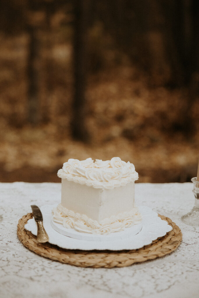 cute Picture of the elopement cake