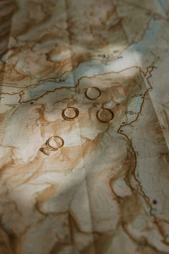 Beautiful picture of the wedding rings