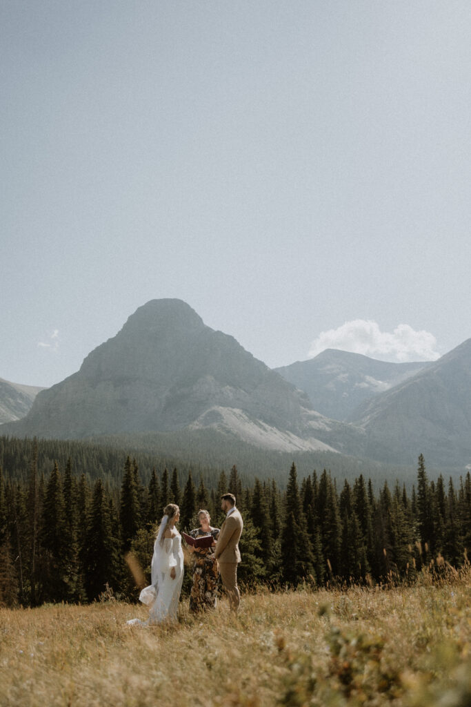 Cute portrait of the bride and groom