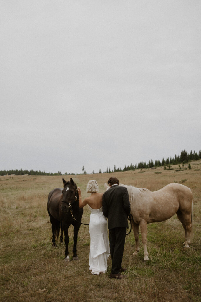 stunning bridal photos in montana