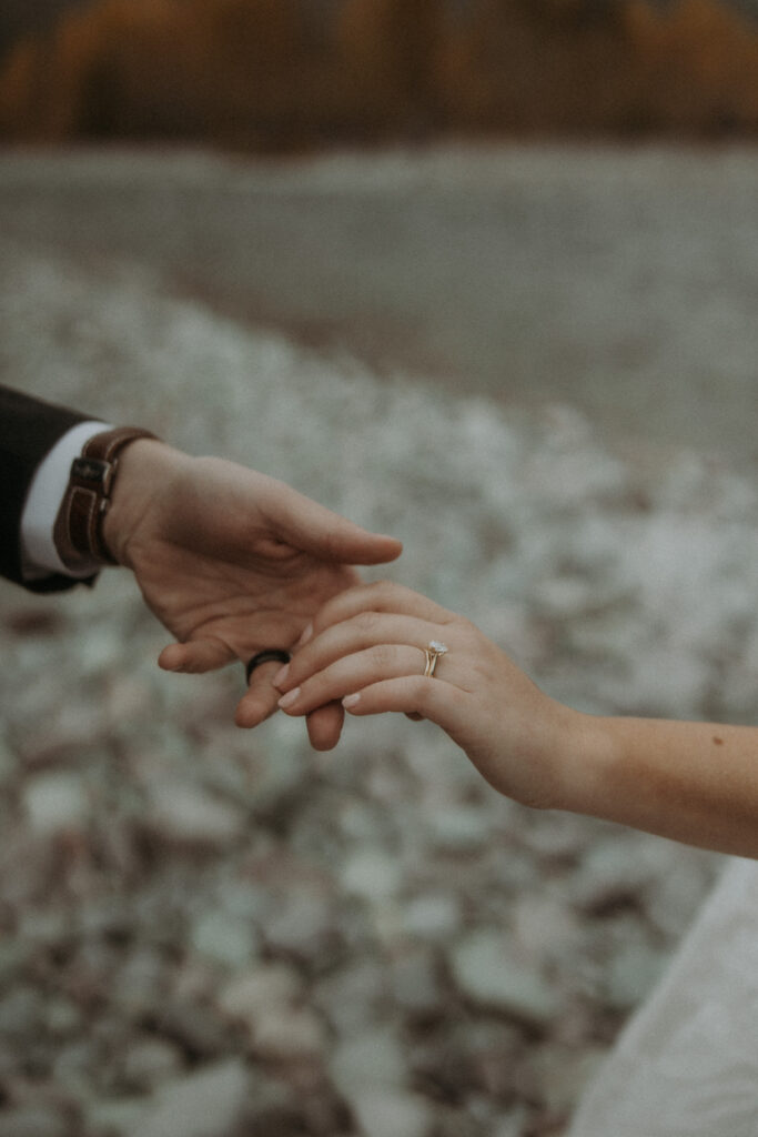 Close-up picture of the wedding rings
